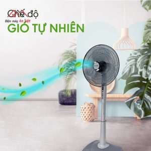 Quạt cây điều khiển từ xa 50W Sharp PJ-L40RV-DG